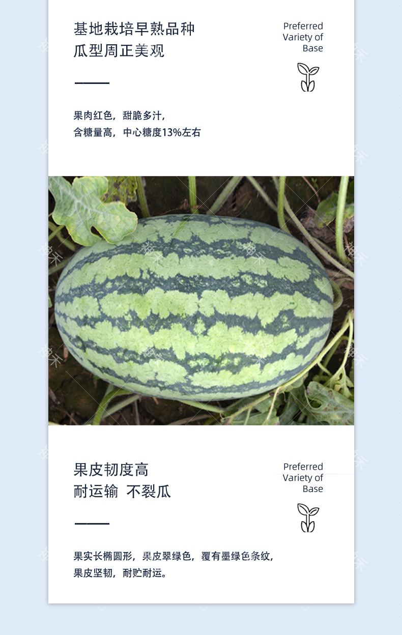 详情4.png