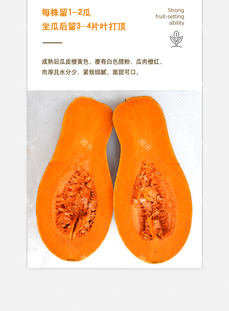 详情5png.png