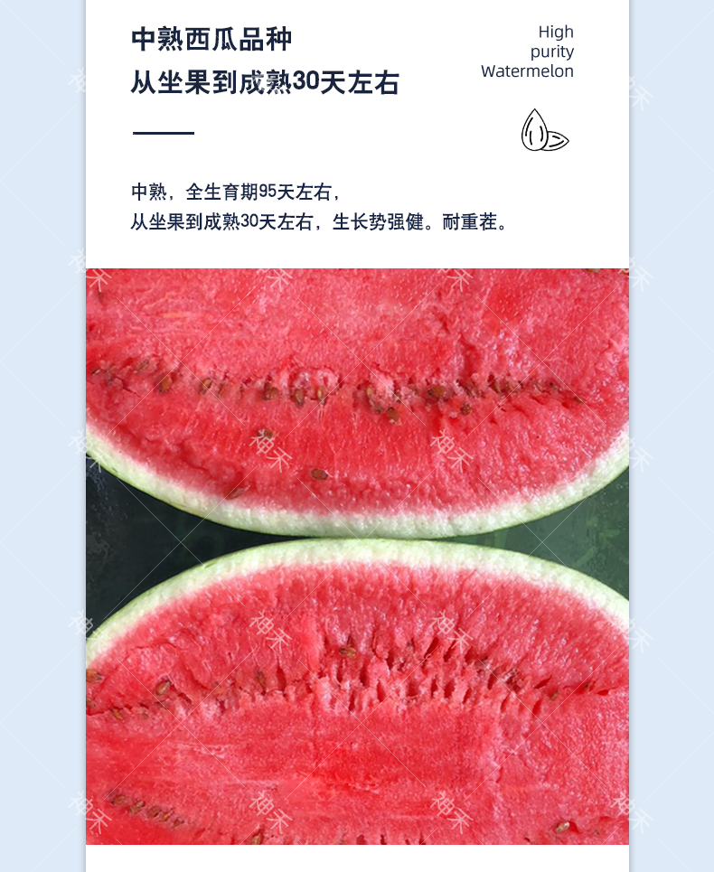 详情3.png