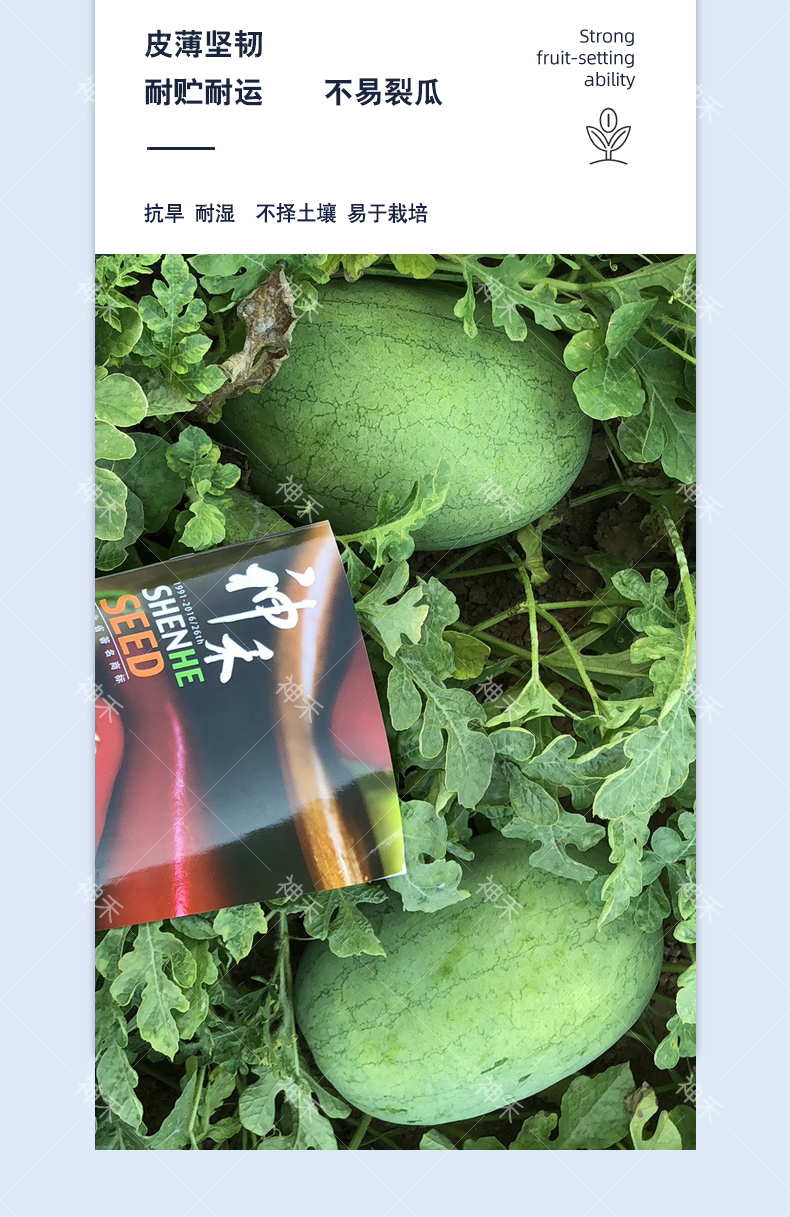 详情5.png