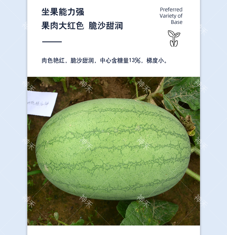 详情4.png