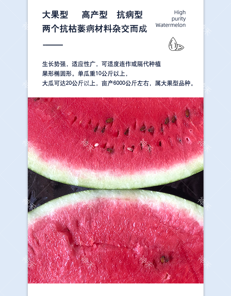 详情3.png