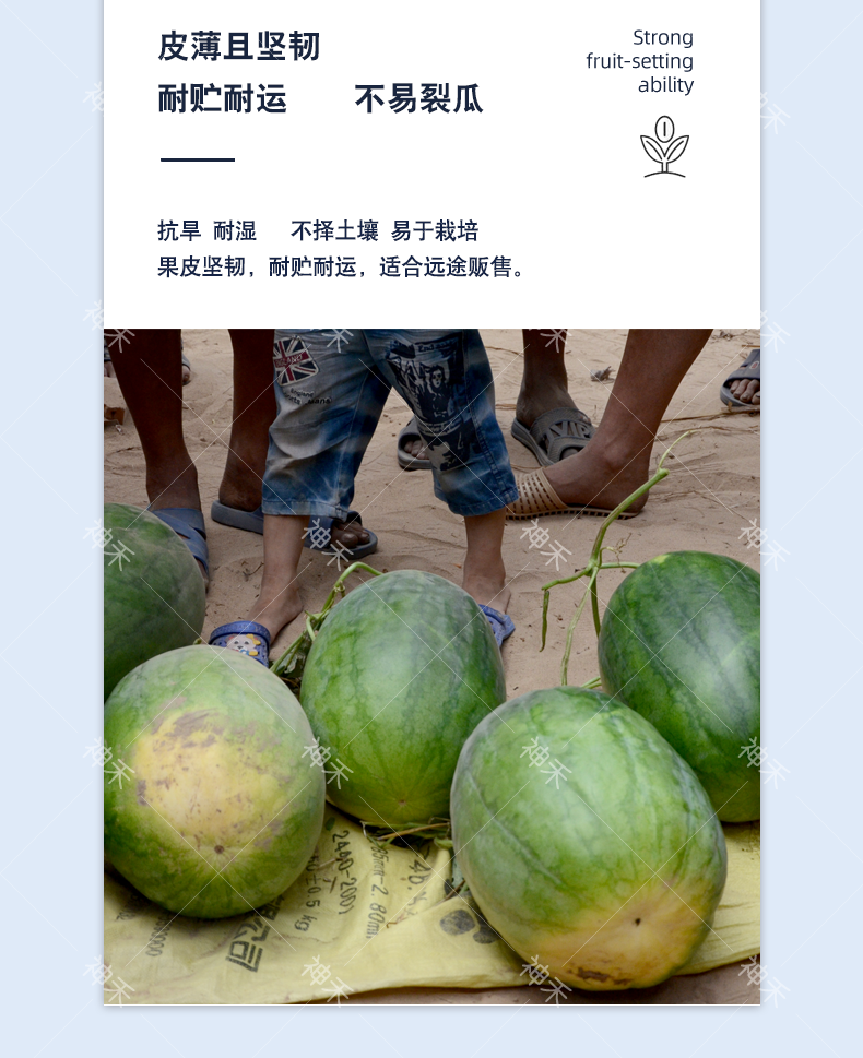 详情5.png