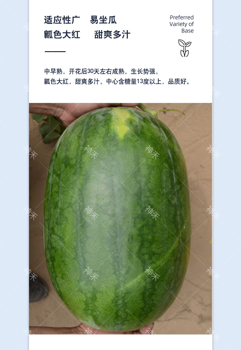 详情4.png