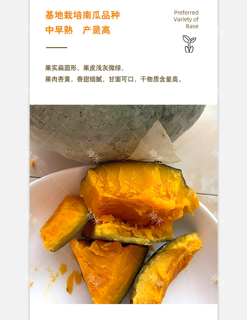 详情4.png