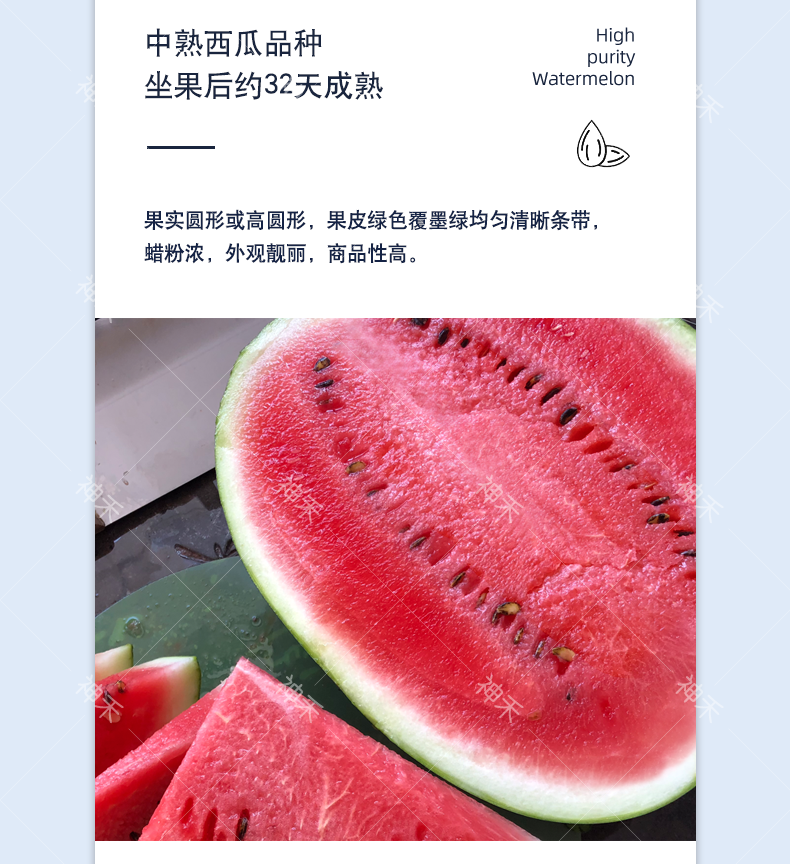 详情3.png