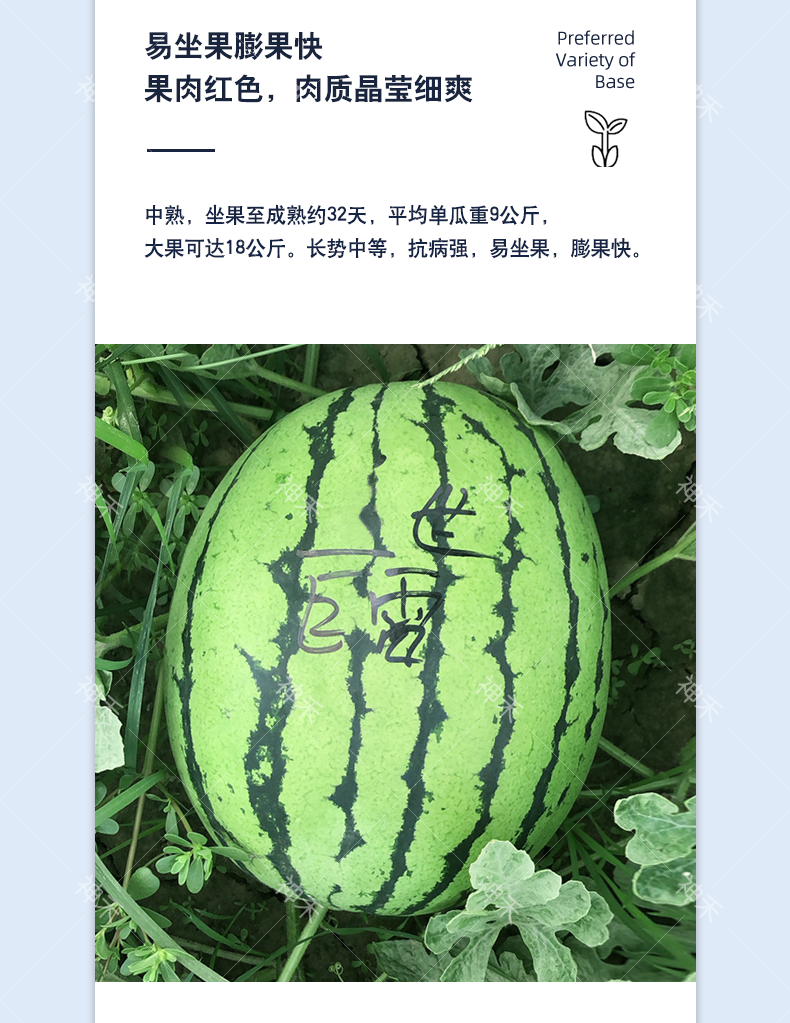 详情4.png