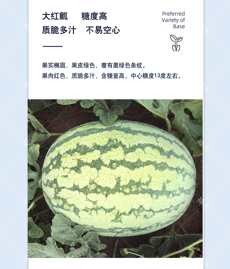 详情4.png
