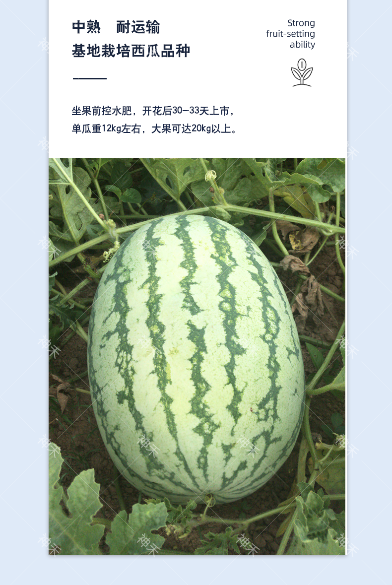 详情5.png