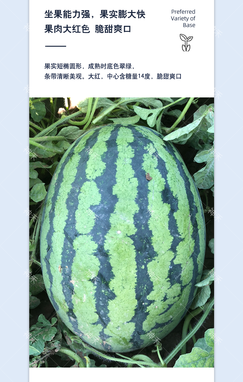 详情4.png