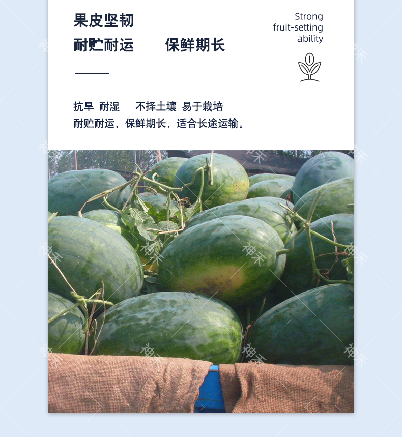 详情5.png