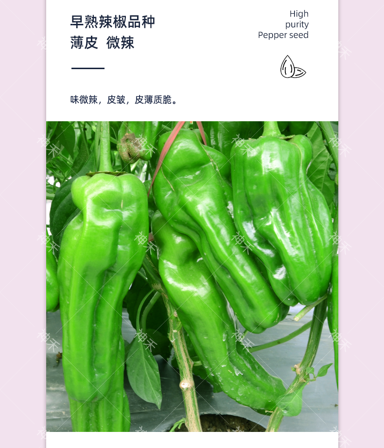 详情3.png