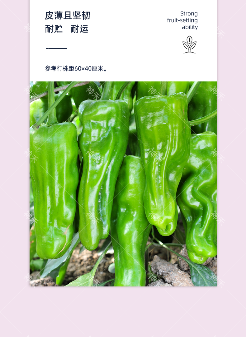 详情5.png