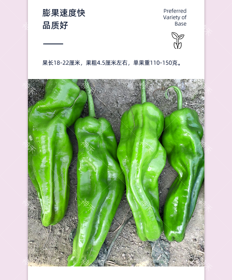 详情4.png