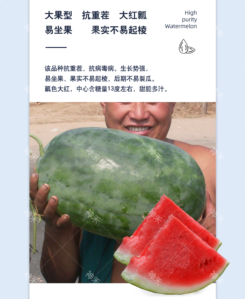 详情3.png