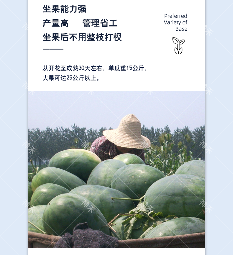 详情4.png