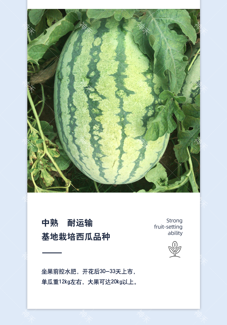 详情5.png