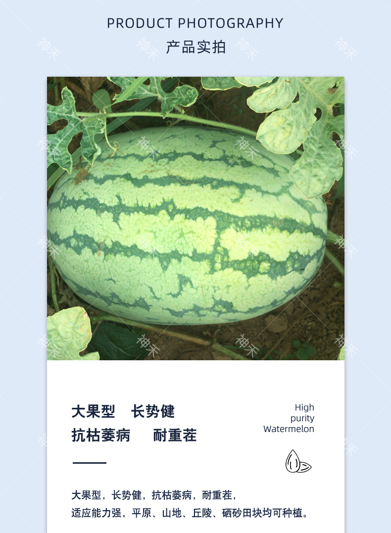详情3.png