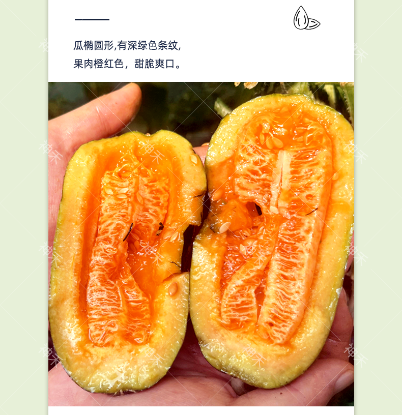 详情3.png