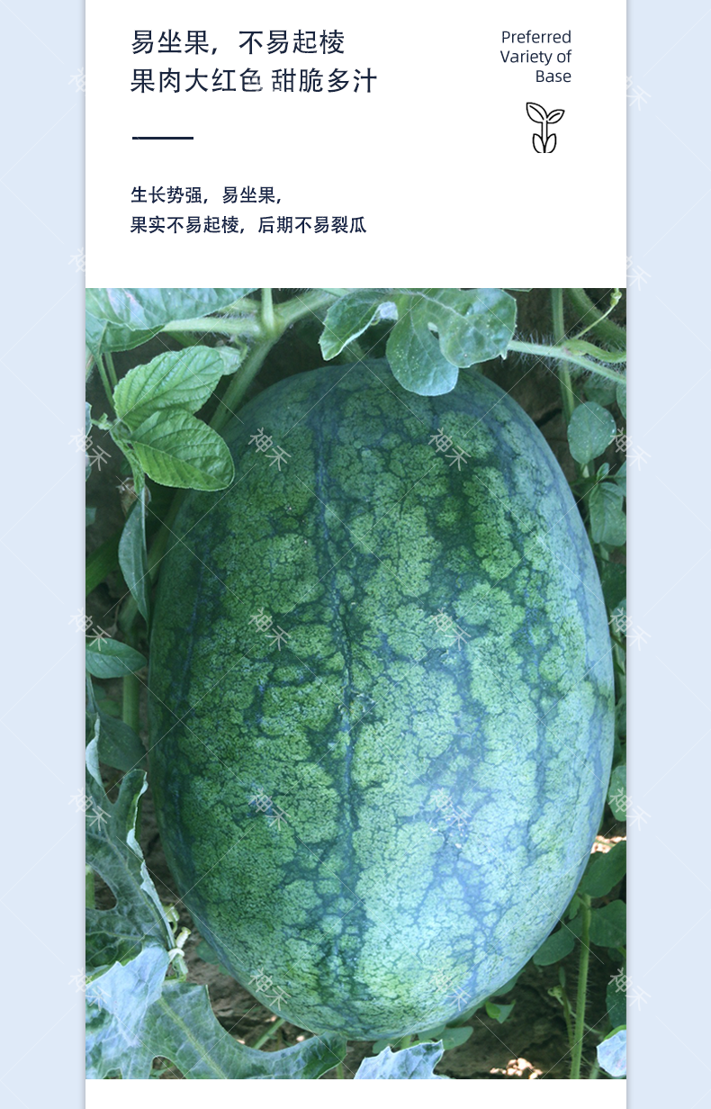 详情4.png