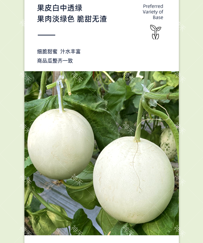 详情4.png