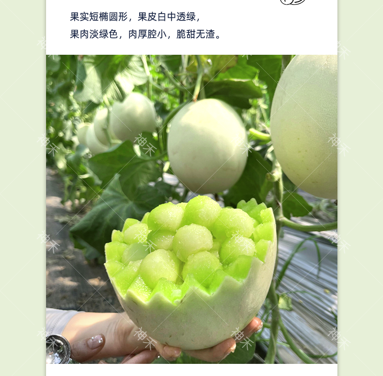 详情3.png