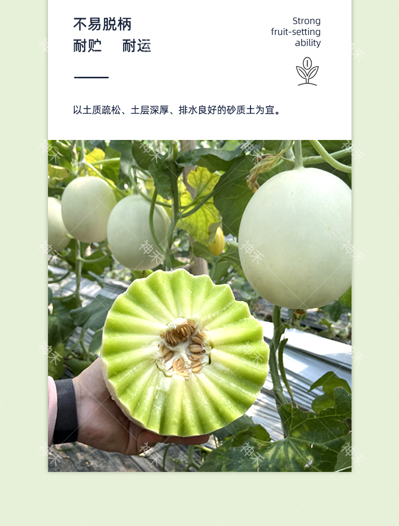 详情5.png