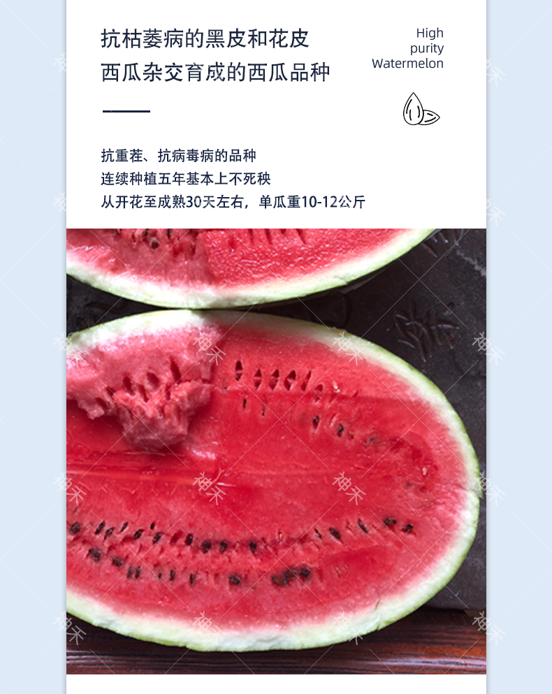 详情3.png
