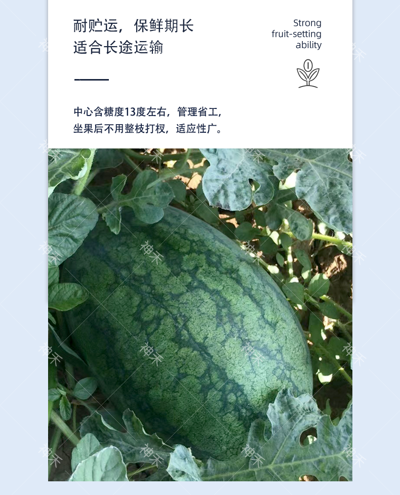 详情5.png