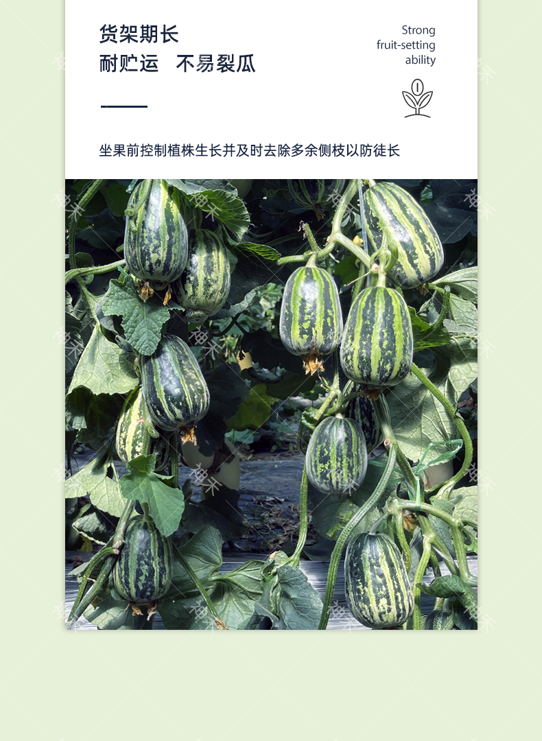 详情5.png
