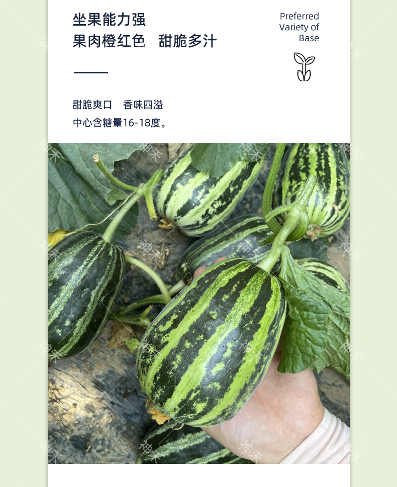 详情4.png