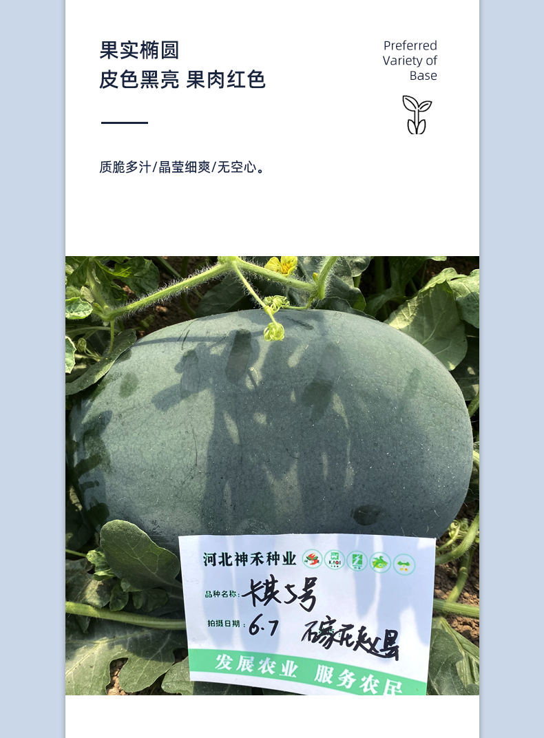 详情4.png