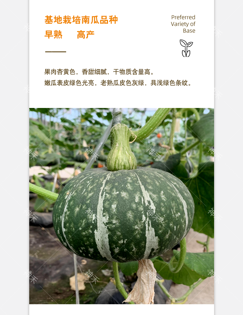 详情4.png
