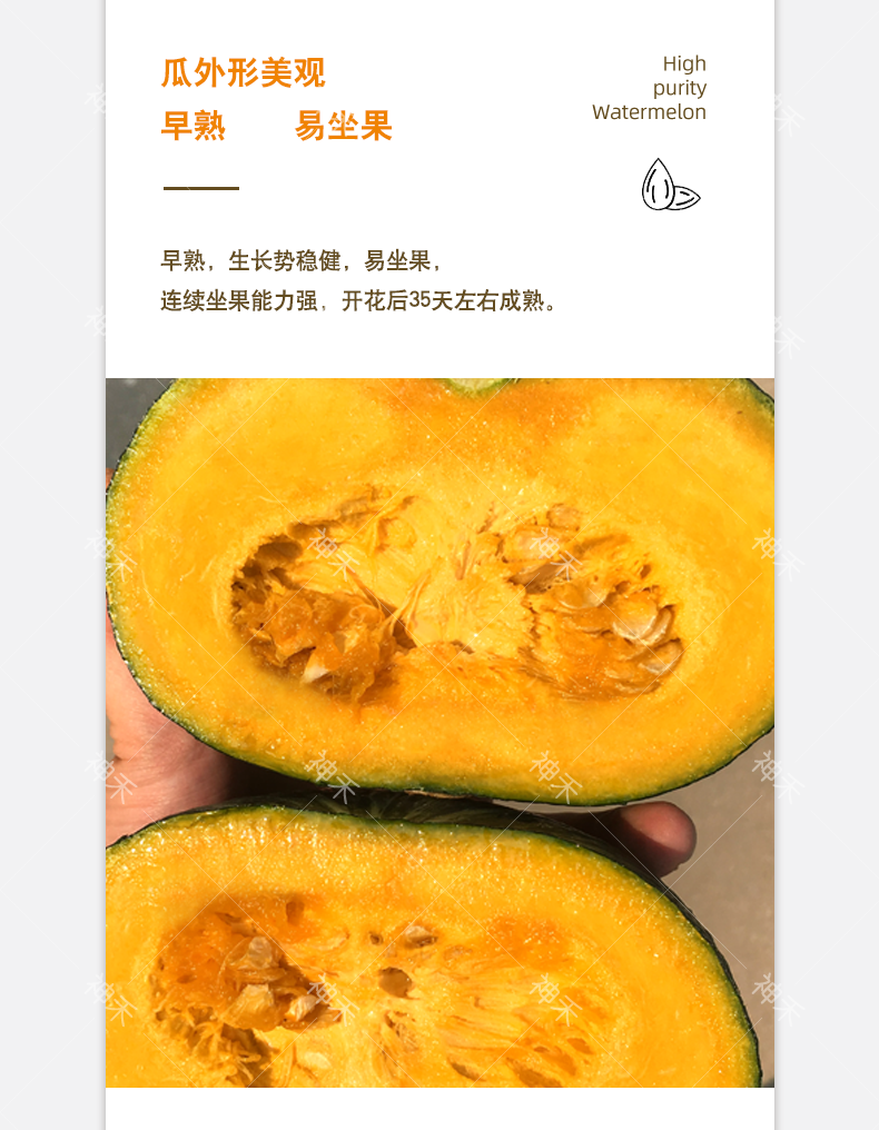 详情3.png