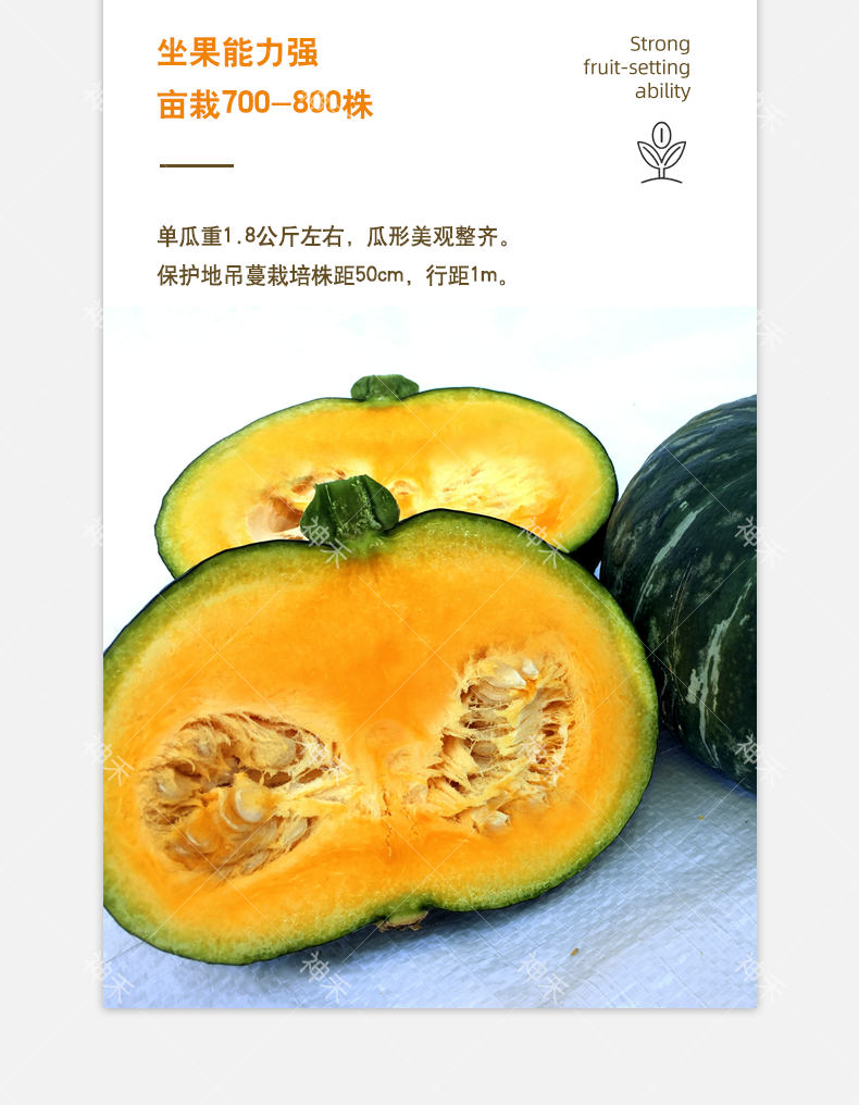 详情5.png